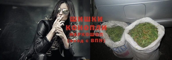 гидропоника Пересвет