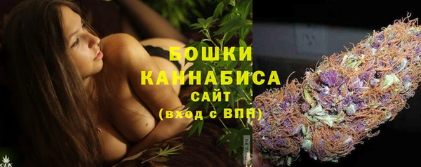 каннабис Новозыбков