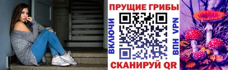 Псилоцибиновые грибы Cubensis  Аша 